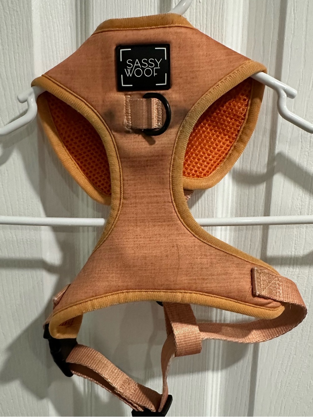 Sassy Woof Apple Cider Light Orange Fall Dog Harness
